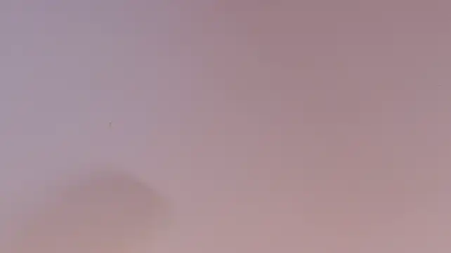 AlaskaWilliams - To worship you, my lady 😏