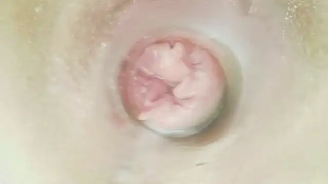 Karol_stom - PLUG IN ASS