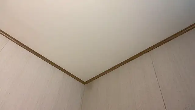 Alexispaige06 - UPSHORTS POVVV