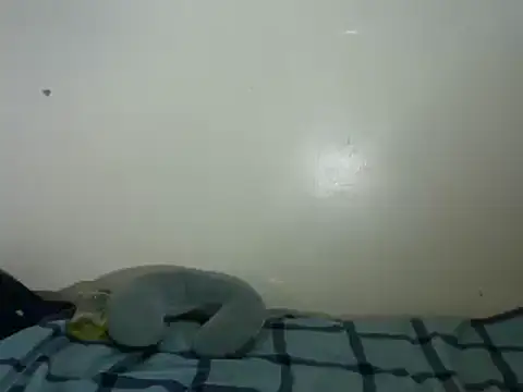 MissLush_shila - Anal