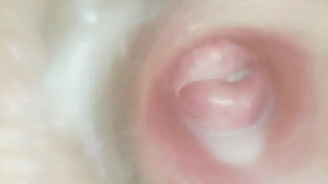 Karol_stom - PLUG IN ASS