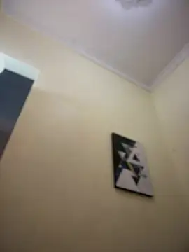 AleezaFrench - dildo in pussy