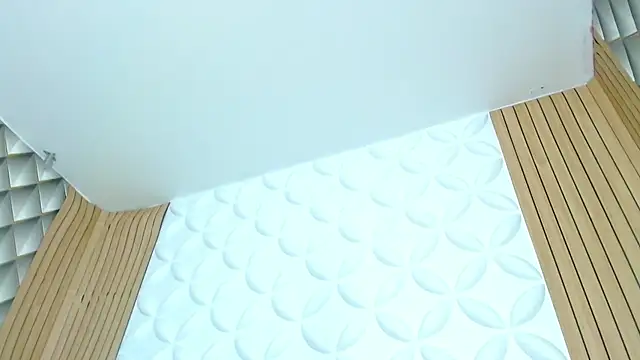 Camillefresitares - Make a nice SHOW ANAL slowly