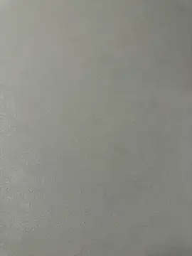 AliceWet