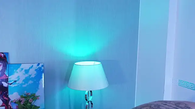 Kitticam