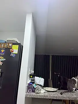 Lizzy_Mei - ✨HUSH ANAL🍑TO MAKEME CUM💦 WITH VIBES✨