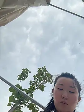 Taotao-1