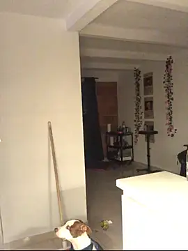Luna-Chann - ✨ANAL PLUG✨