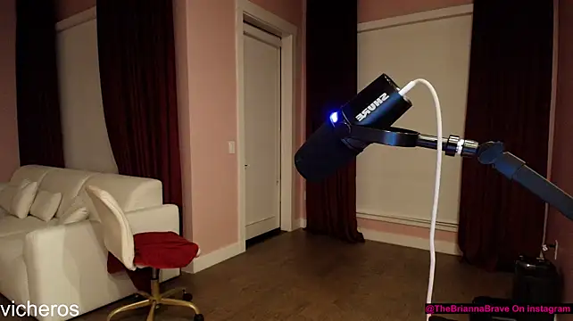 BriannaBrave