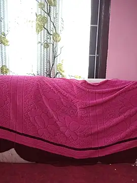 Tamilaruvi