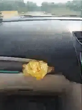 Lily-Darlling - Ass show without panty