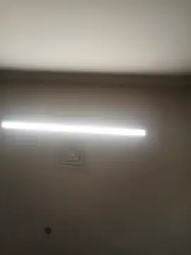 Simran450 - anal plug