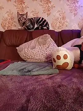 _ANGEL_JENNY_'s Live XXX Chat