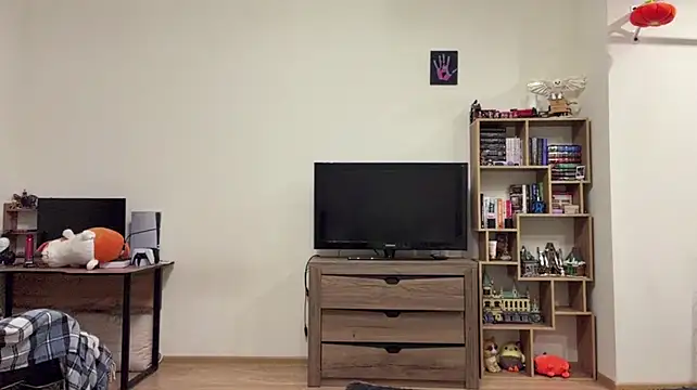 PaintedDisplay