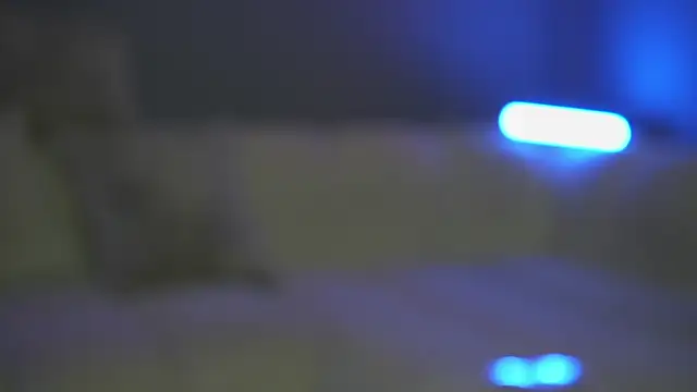 AlfaSex9 - full naked