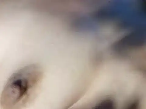Sexie_scarlet - fuck my pussy for 3min
