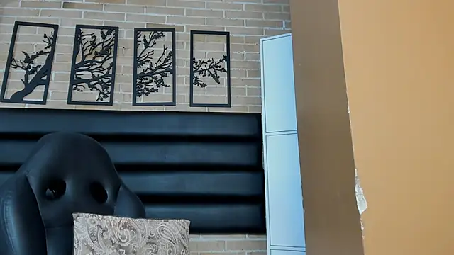 Fer_florez - anal with my torso