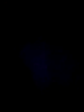 Kokkina22