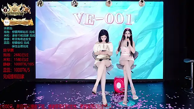 VE-001 - 静静第1轮