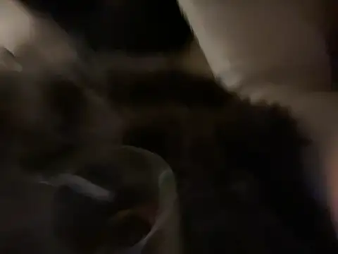 K1tty - <3