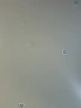 Londonsfantasy - squirt showw