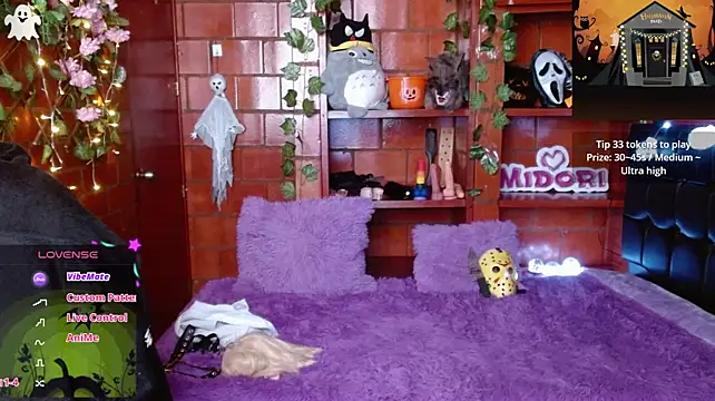 MidoriQuiinn - Control Toys And BDSM !