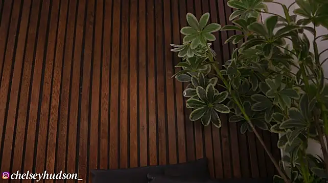 Chelsey_Hudson_ - Make me Big Squirt