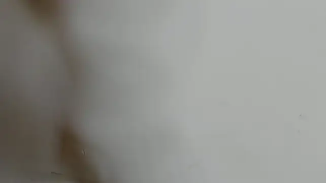 Dali_Sweet - twerking and spank ass
