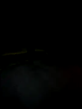 Off_the_Lesh - Flash puss