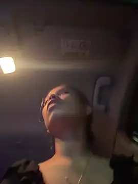 Torchermachine - Fucking in car