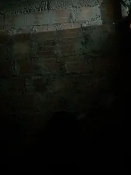 ELIZABET2- - 🍑Show ass+oil in ass 🍑😈