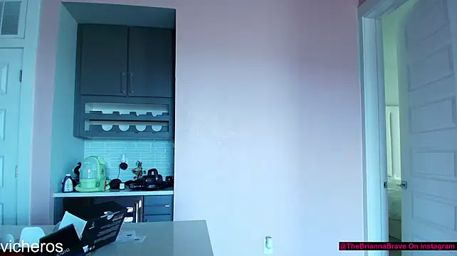 BriannaBrave - Twerk