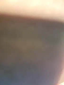 Honeybeespecial
