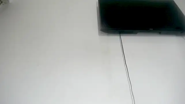 Fox_Loves