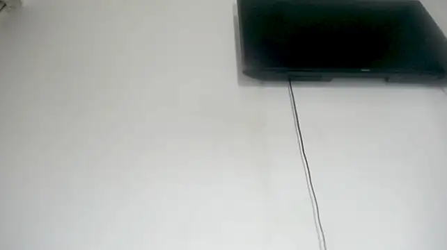 Fox_Loves