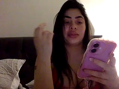 Stripflordelcaos