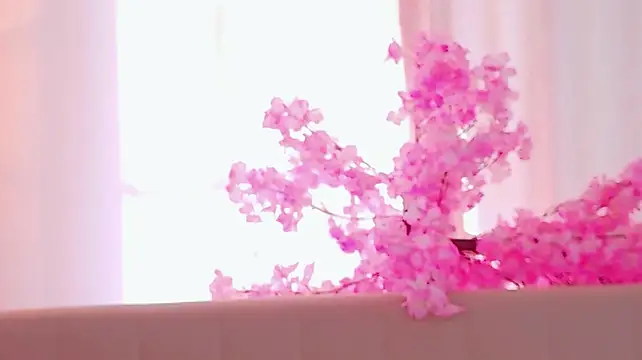 MeowthLilu