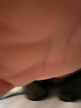 Evemeqt