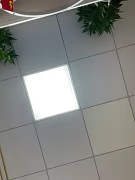 Milkwine - 今日，宜开心✨