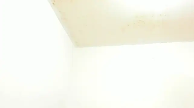 Alishagoddes - NAKED AND OIL MY BODY
