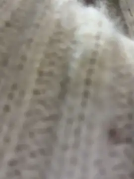 AdinaKan - Naked holes twerk close+BIG SQUIRT💦