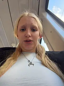 Elfi_InPublic - Spy under skirt+massage pussy in bus
