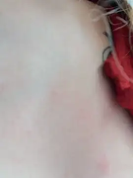 -stray-cat- - shake my booty