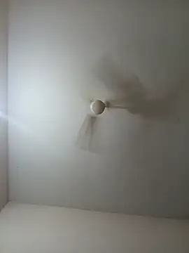 Manasa_