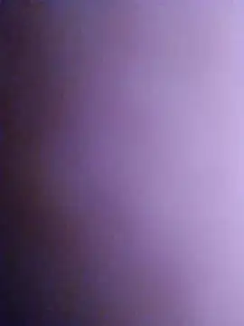 Mimi311