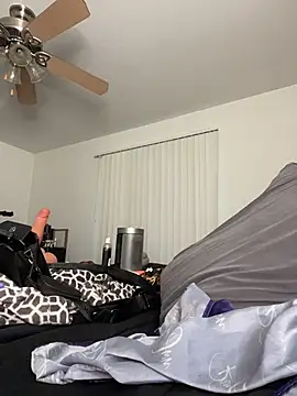 Reecieofficial - Toy Tease (External)