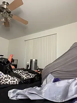 Reecieofficial - Toy Tease (External)