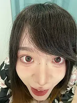 QWQ4455 - 来回一圈小狗爬