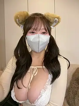 Lno_toromi