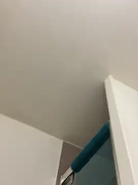 Bellalolahot